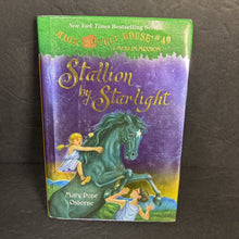 Load image into Gallery viewer, Stallion by Starlight (Magic Tree House: A Merlin Mission) (Mary Pope Osborne) -series hardcover