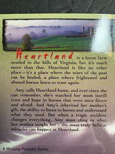 Load image into Gallery viewer, Heartland Book Bundle – 4 Books by Lauren Brooke - series paperback