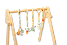 Load image into Gallery viewer, Montessori Baby Gym & Hanging Toys Set | Wooden Play Gym for Babies