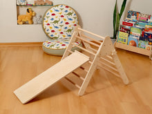 Load image into Gallery viewer, Montessori Indoor Playground | Pikler Triangle & Climbing Arch & 2in1 Ramp & Pillow