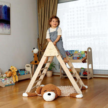 Load image into Gallery viewer, Climbing Triangle with Ramp | Foldable Montessori Climbing Set