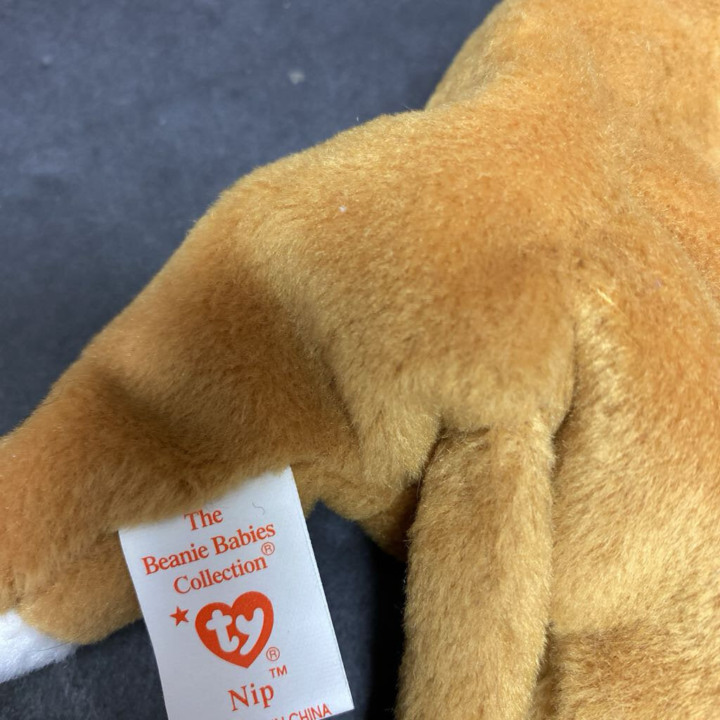 Nip the 2024 cat beanie baby