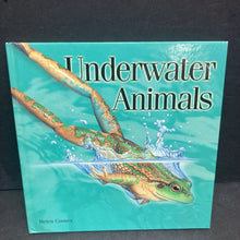 Load image into Gallery viewer, Underwater Animals (Helen Cooney) -hardcover
