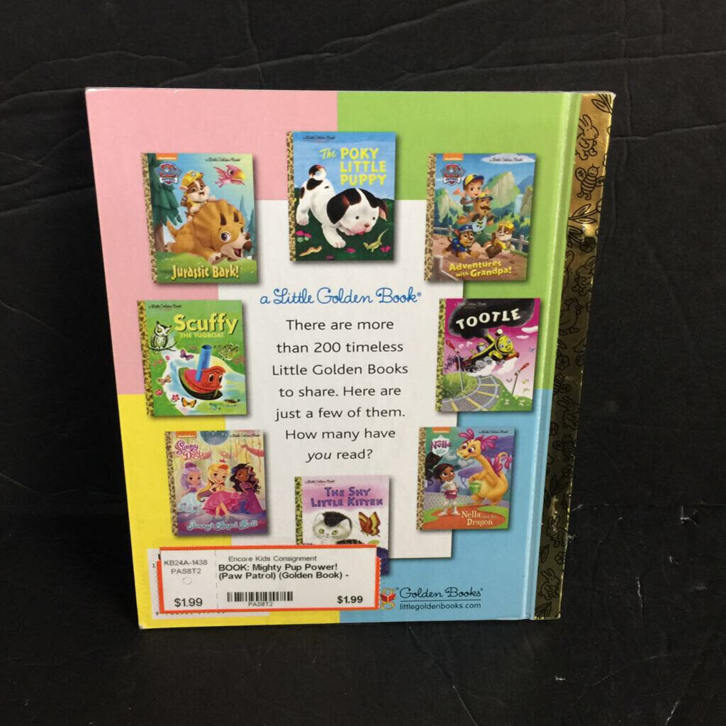 Paw Patrol Books in Character Books 