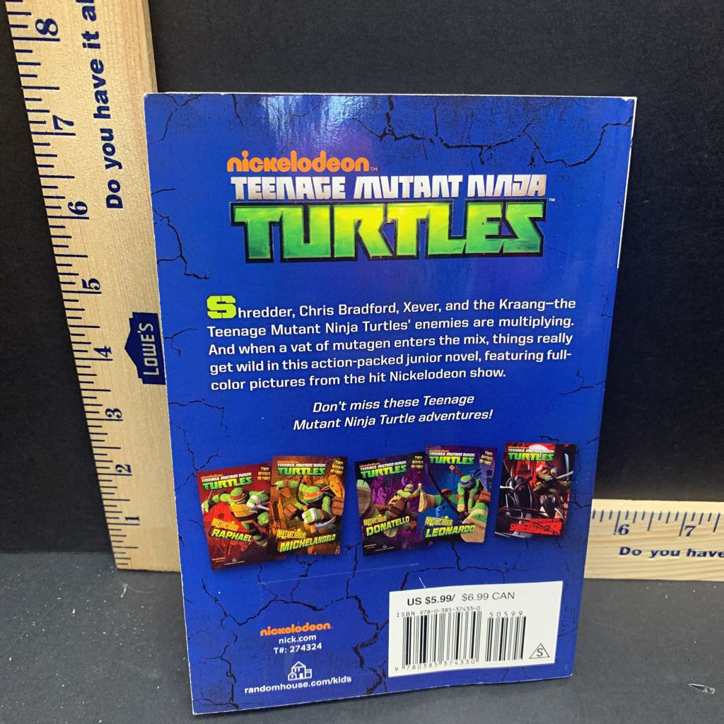 Teenage Mutant Ninja Turtles: Mutagen Mayhem (DVD) 