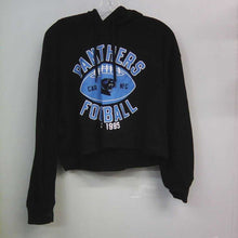 Load image into Gallery viewer, &quot;panthers football..&quot; hooded sweatshirt
