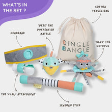 Load image into Gallery viewer, Deluxe Dingle Dangle Baby Gift Set
