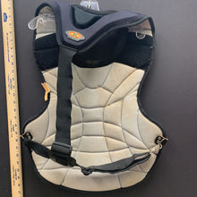 Load image into Gallery viewer, Snow boarding back protector
