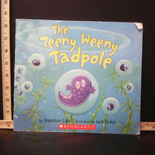 Load image into Gallery viewer, The Teeny Weeny Tadpole (Sheridan cain) -Paperback
