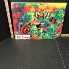Load image into Gallery viewer, Miss Spider's Wedding(David Kirk)-Paperback
