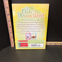 Load image into Gallery viewer, To the rescue(The owls of blossom wood)(Catherine Coe)-series
