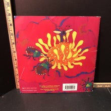 Load image into Gallery viewer, Beetle bop(Denise Fleming)- paperback
