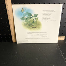 Load image into Gallery viewer, A snake in the house(Faith McNulty)-paperback
