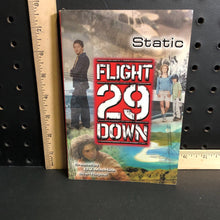 Load image into Gallery viewer, Static(flight 29 down)(Walter Sorrells)- series

