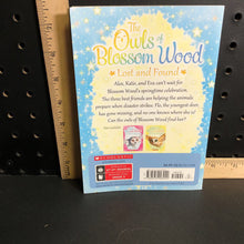 Load image into Gallery viewer, Lost and found(The owls of blossom wood)(Catherine Coe)-series
