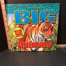 Load image into Gallery viewer, Big Animals(Ladybird first explorers)(Mary Gribbin)-educational

