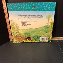 Load image into Gallery viewer, Big Animals(Ladybird first explorers)(Mary Gribbin)-educational
