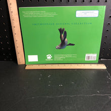 Load image into Gallery viewer, Galapagos fur seal (Victoria Sherrow)-educational
