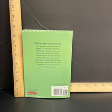 Load image into Gallery viewer, Cornelia and the Audacious Escapades of the somerset sisters (Lesley M.M. Blume) -chapter

