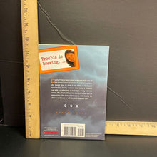 Load image into Gallery viewer, Storm rescue (Vet Volunteers)(Laurie Halse Anderson)-series paperback
