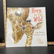 Load image into Gallery viewer, Born In the Wild (Lita Judge) -paperback
