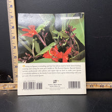 Load image into Gallery viewer, The Essential Iguana-educational

