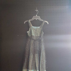 Shiny dress