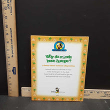 Load image into Gallery viewer, Why Do Camels Have Humps? (Mickey Wonders Why) (Mickey &amp; Friends) -educational
