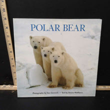 Load image into Gallery viewer, Polar Bear (Downs Matthews) -educational
