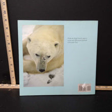 Load image into Gallery viewer, Polar Bear (Downs Matthews) -educational
