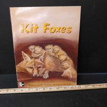 Load image into Gallery viewer, Kit Foxes (Jennifer Jacobson) -paperback
