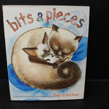 Load image into Gallery viewer, Bits and Pieces (Judy Schachner) -hardcover
