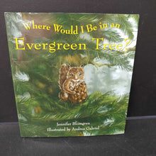 Load image into Gallery viewer, Where Would I Be in an Evergreen Tree? (Jennifer Blomgren) -educational
