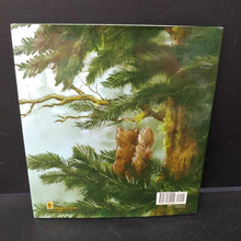 Load image into Gallery viewer, Where Would I Be in an Evergreen Tree? (Jennifer Blomgren) -educational
