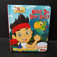 Load image into Gallery viewer, What Do You See (Disney Junior Jake &amp; The Neverland Pirates) -character pop up look &amp; find board

