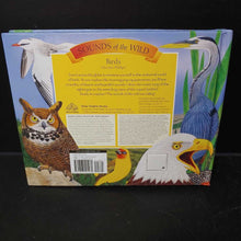 Load image into Gallery viewer, Birds (Maurice Pledger) -educational

