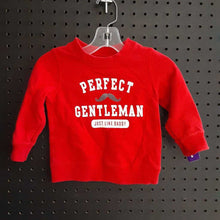 Load image into Gallery viewer, &quot;Perfect Gentlemen...&quot; Shirt
