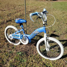 Load image into Gallery viewer, Girl Puppy Love bicycle
