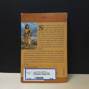 Soft Rain (Cornelia Cornelissen) -notable event
