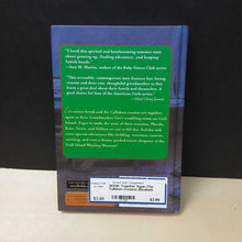 Load image into Gallery viewer, Together Again (The Callahan Cousins) (Elizabeth Doyle Carey) -series
