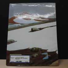 Load image into Gallery viewer, Bear (John Schoenherr) -hardcover
