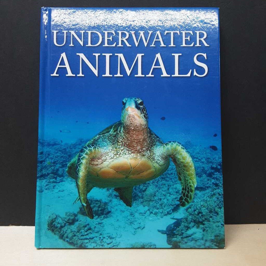 Underwater Animals (Sonia Vallabh) -educational
