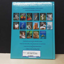 Load image into Gallery viewer, Underwater Animals (Sonia Vallabh) -educational
