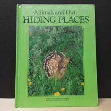 Load image into Gallery viewer, Animals and their Hiding Places (Jane McCauley) -educational

