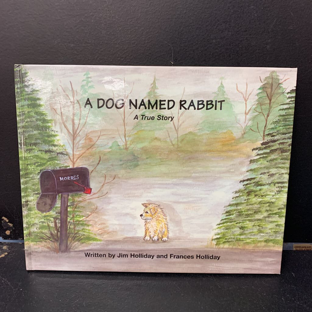 A Dog Named Rabbit (Jim Holliday) -hardcover