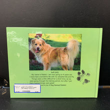 Load image into Gallery viewer, A Dog Named Rabbit (Jim Holliday) -hardcover
