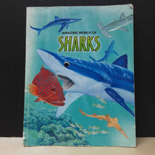Load image into Gallery viewer, Amazing World of Sharks (Cynthia Stierle) -paperback
