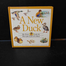 Load image into Gallery viewer, A New Duck (Birds) (Pamela Hickman) -educational
