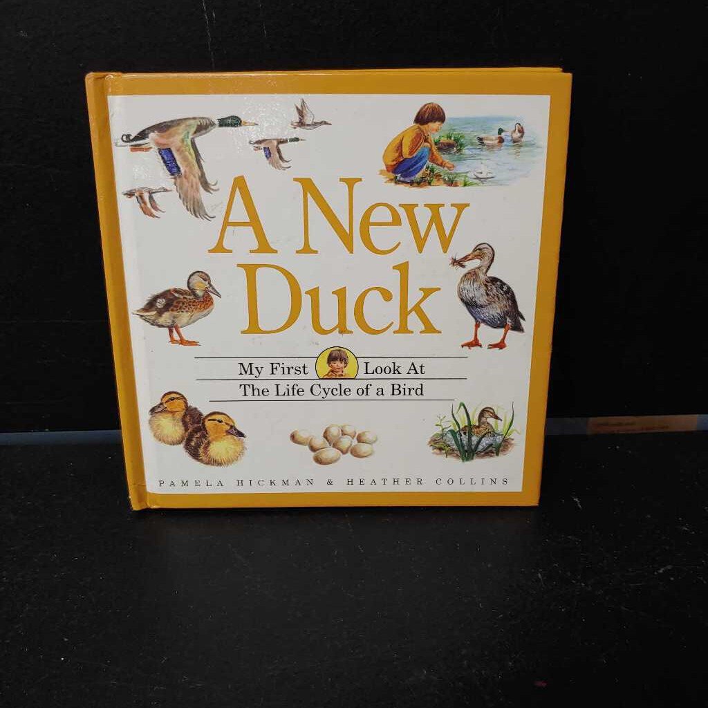A New Duck (Birds) (Pamela Hickman) -educational