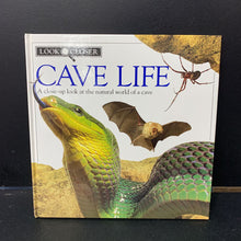 Load image into Gallery viewer, Cave Life (Environment) -educational

